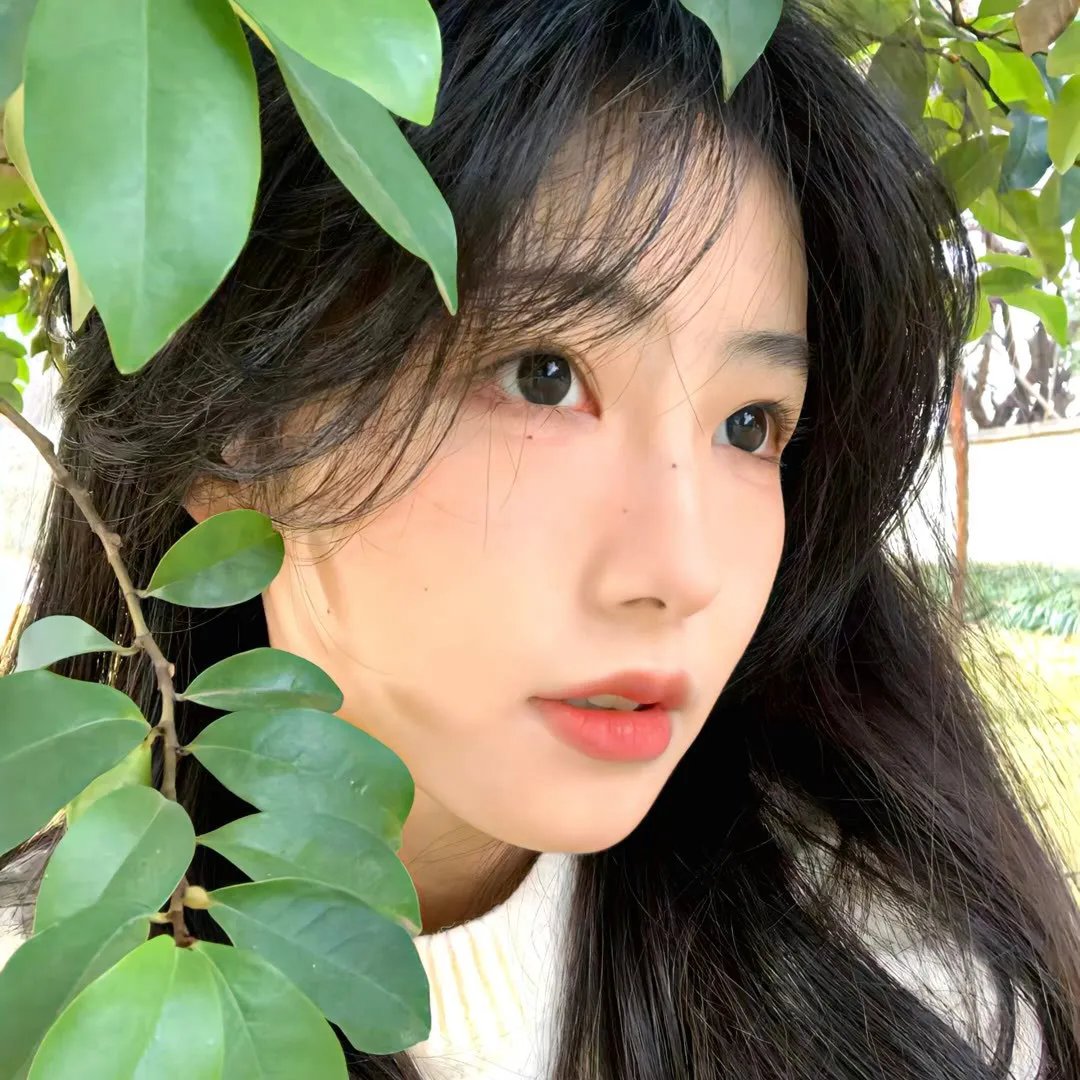 欢乐丛林
